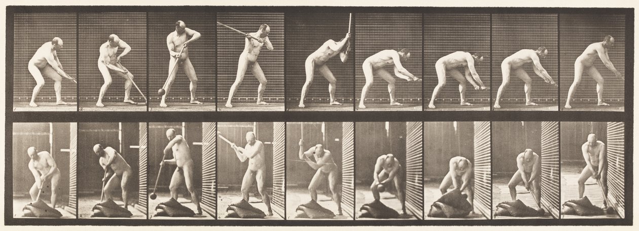 Lauta 396. Nyökkäys nuijalla tekijältä Eadweard Muybridge