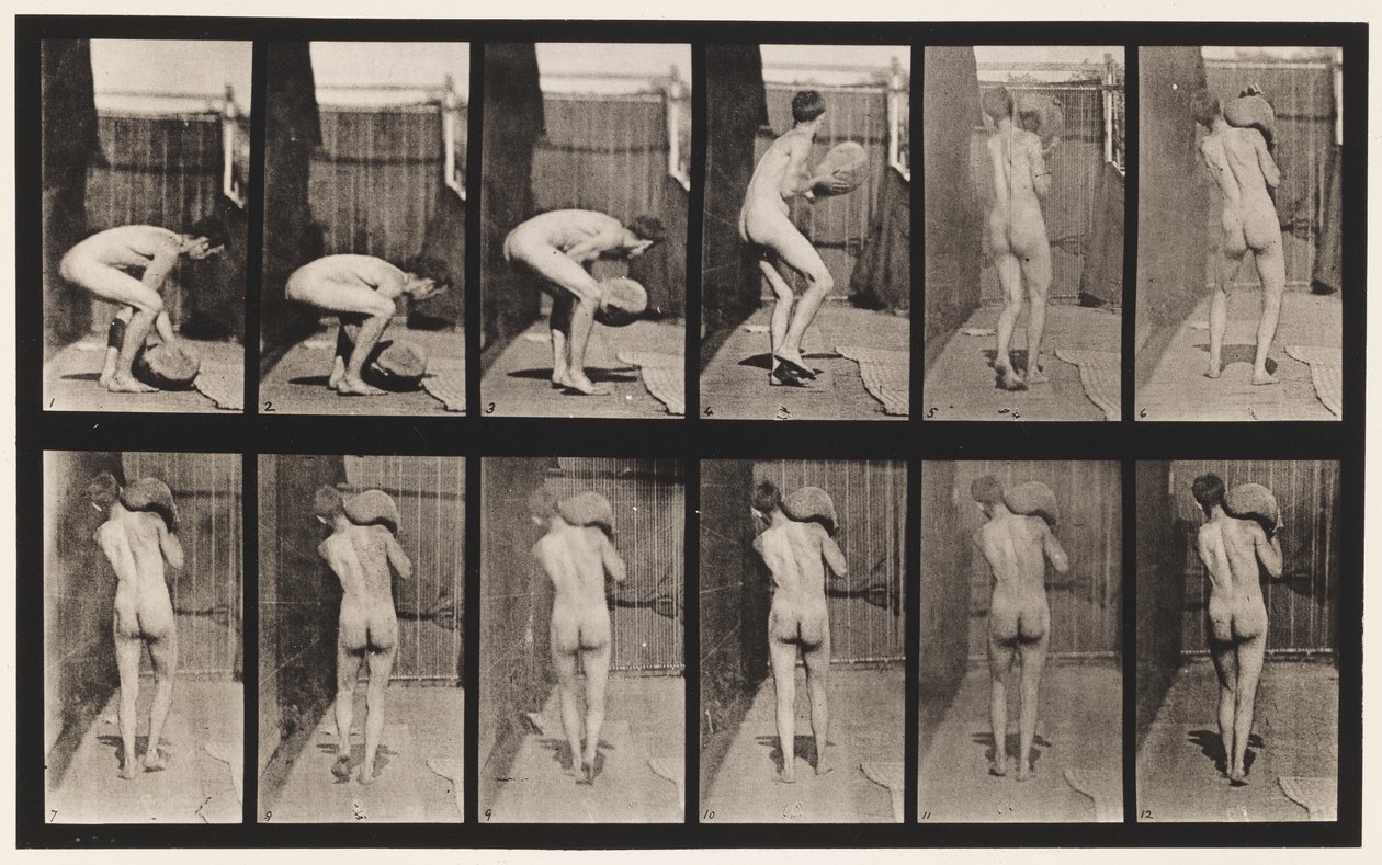 Levy 397. Nosto 75-lb. Kivi olalla, 1872-1885 tekijältä Eadweard Muybridge
