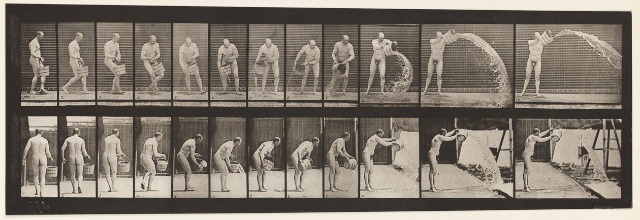 Levy 399. Vesiämpäri tyhjennys, 1872-1885 tekijältä Eadweard Muybridge
