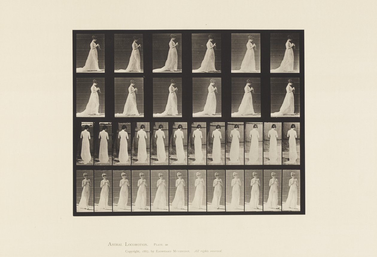 Levy 39. Kävely, kädet neulonnassa, 1872-1885 tekijältä Eadweard Muybridge