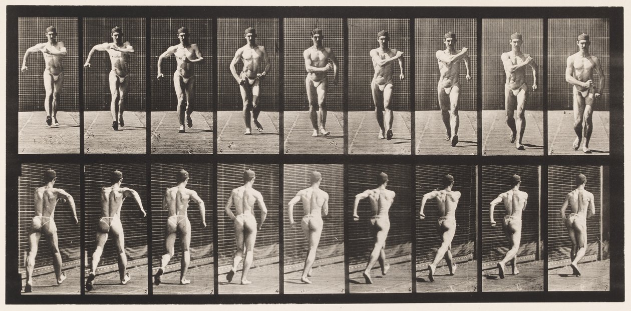 Lauta 3. Kävely tekijältä Eadweard Muybridge