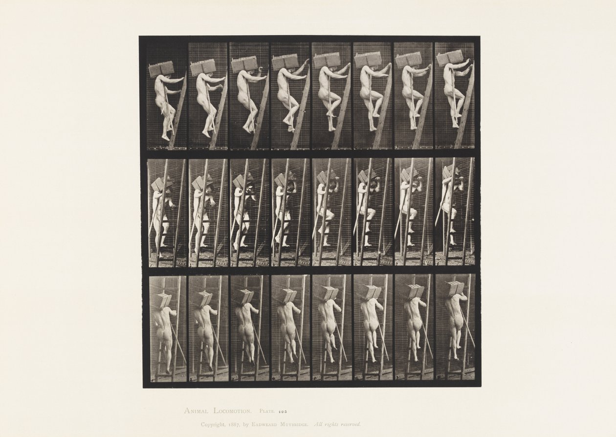 Kilpi 405. Tiilien kantaminen tikkailla, 1872-1885 tekijältä Eadweard Muybridge