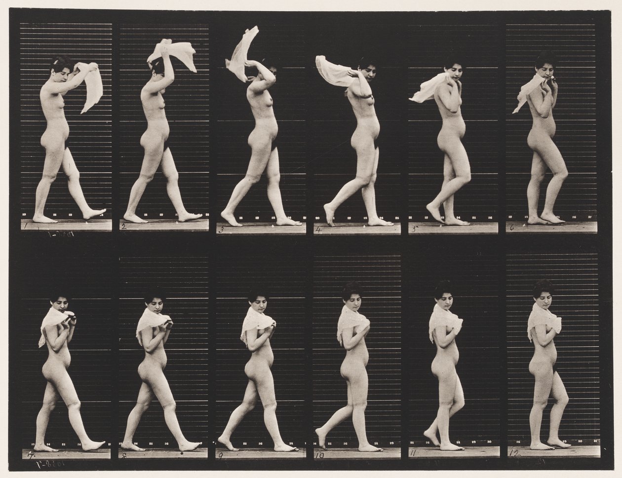 Lauta 40. Kävely, nenäliinan heittäminen hartioiden yli tekijältä Eadweard Muybridge