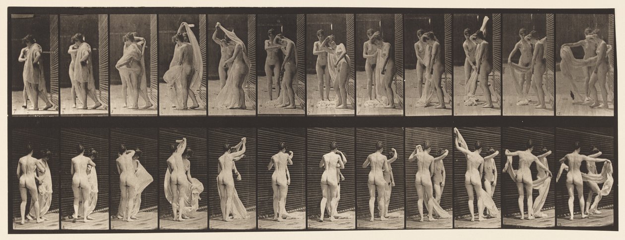 Lauta 428. WC; Kaksi mallia, 1 Disrobing 8, 1872-1885 tekijältä Eadweard Muybridge