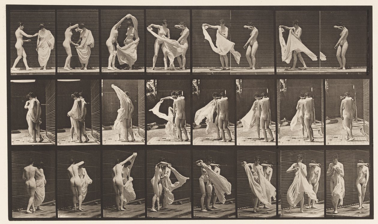 Lauta 429. WC; Kaksi mallia, 1 Disrobing 8, 1872-1885 tekijältä Eadweard Muybridge