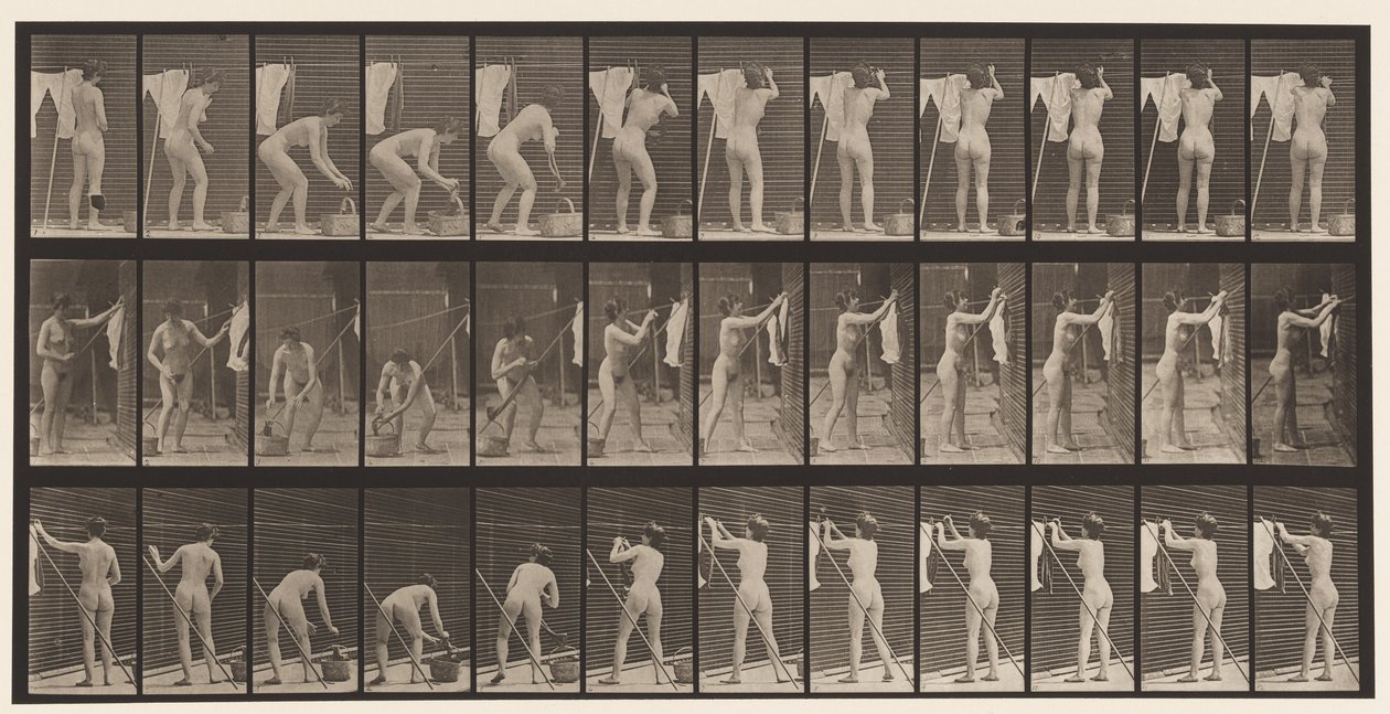 Levy 434. Riippuvat vaatteet linjalla, 1872-1885 tekijältä Eadweard Muybridge
