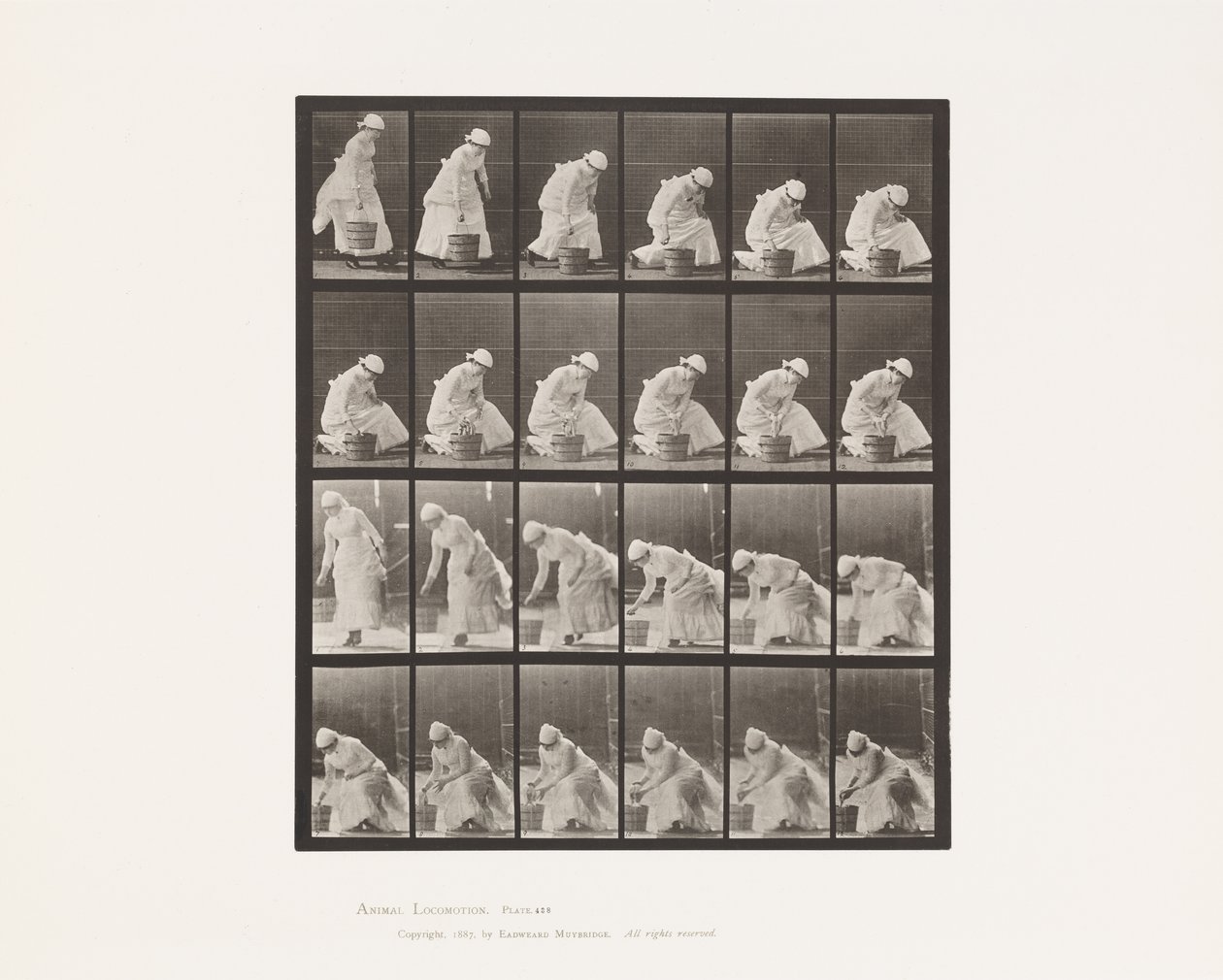 Levy 438. Kauhan laskeminen ja kuuraukseen valmistautuminen, 1885 tekijältä Eadweard Muybridge
