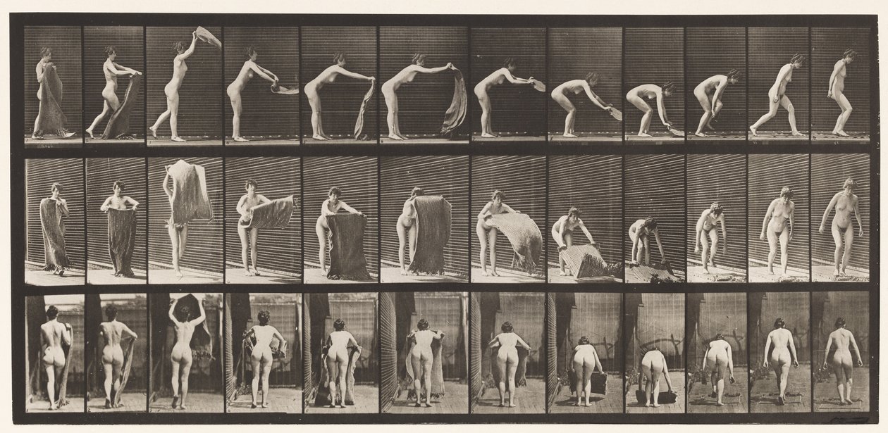 Levy 439. Maton levittäminen lattialle, 1872-1885 tekijältä Eadweard Muybridge