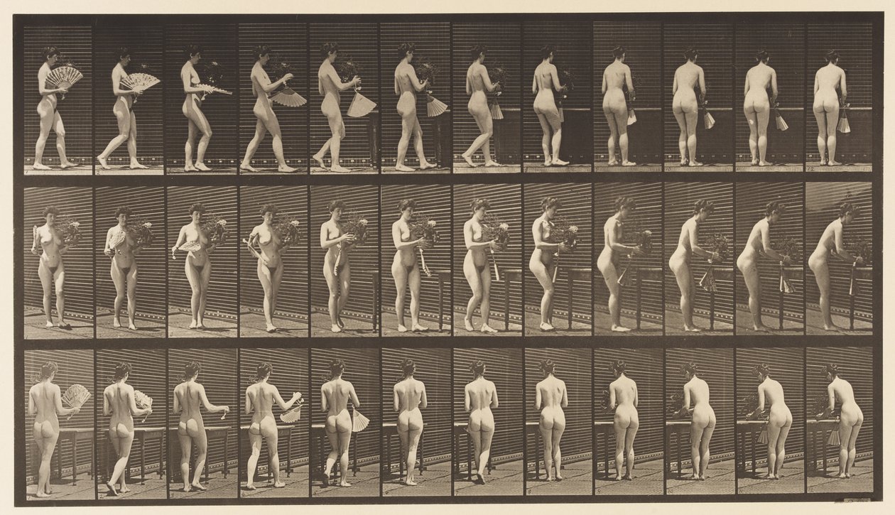 Lauta 441. Kantomaljakko ja sen asettaminen pöydälle, 1872-1885 tekijältä Eadweard Muybridge