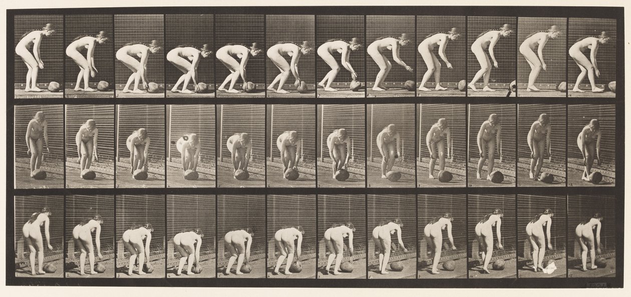Levy 442. Kumartuminen ja kiven vieriminen maassa tekijältä Eadweard Muybridge