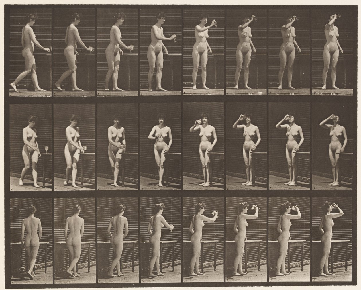 Lauta 443. Juominen pikarista seisten tekijältä Eadweard Muybridge