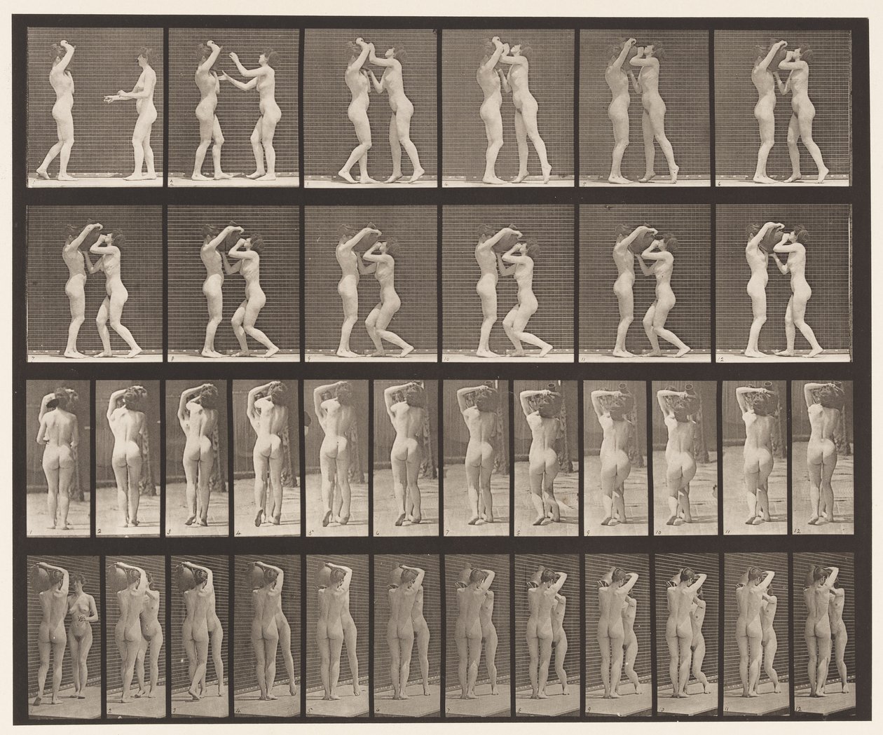 Lauta 445. Kaksi mallia - 8 juominen vesipurkista 1 olalla tekijältä Eadweard Muybridge
