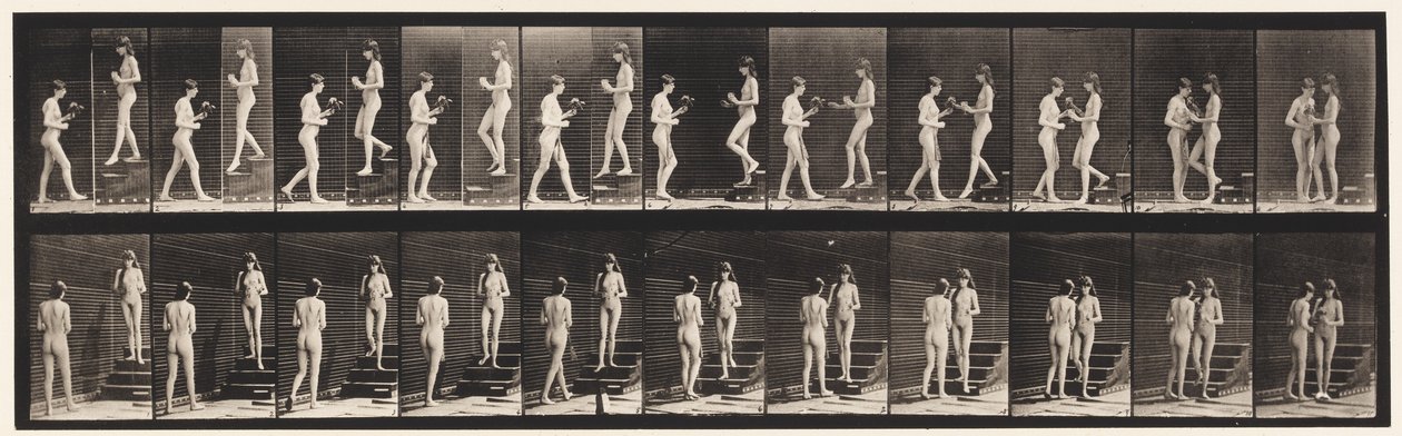 Kilpi 448. Kaksi mallia tekijältä Eadweard Muybridge