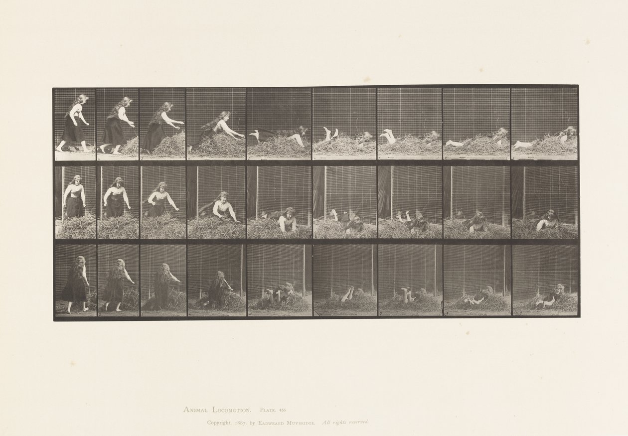 Levy 455. Heinäkasaan heittäminen tekijältä Eadweard Muybridge