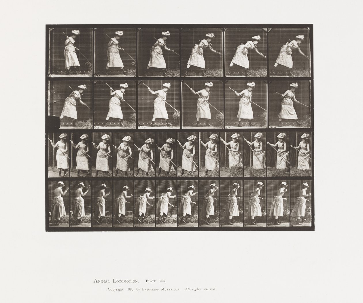 Levy 456. Sijoitus on 165 tekijältä Eadweard Muybridge