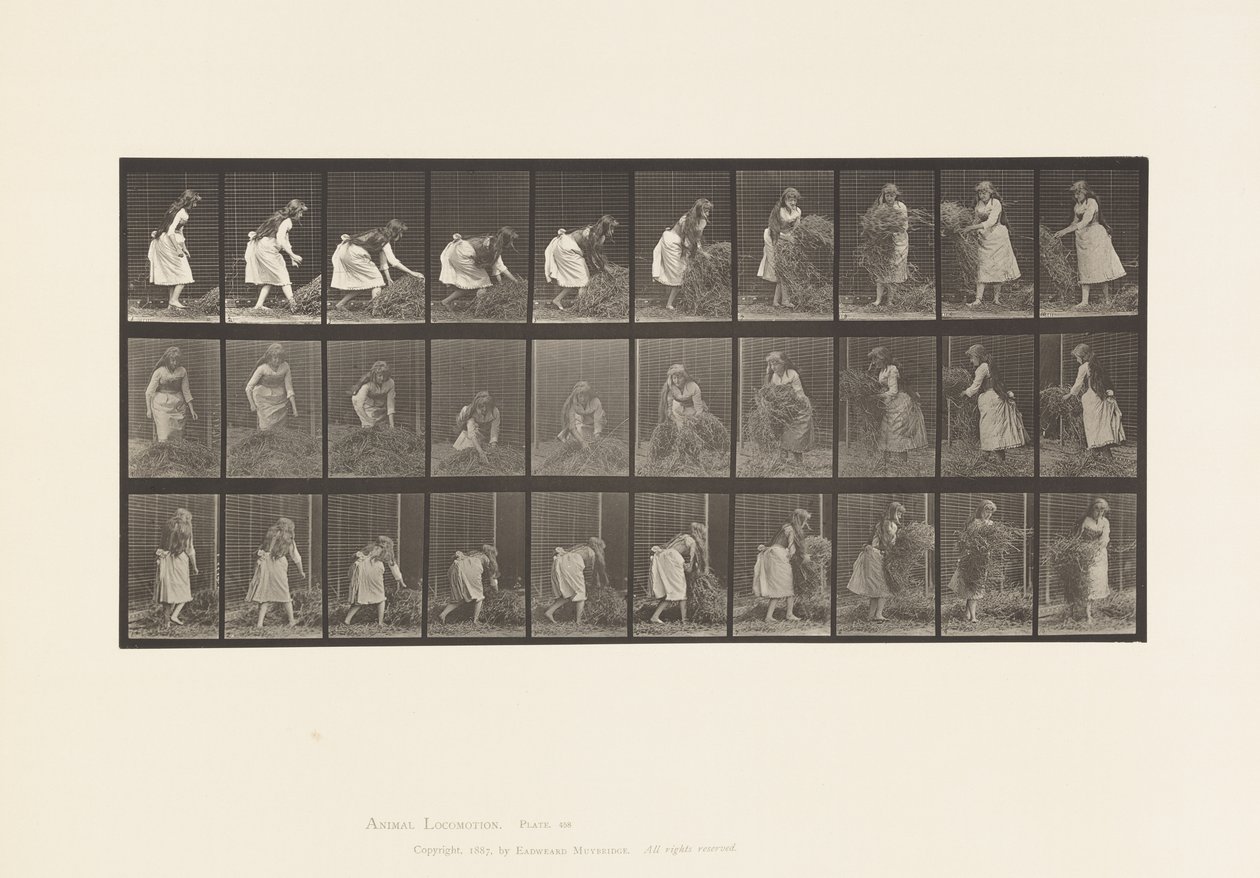 Lauta 458. Kourallisten heinän nostaminen, kääntäminen, heittäminen alas tekijältä Eadweard Muybridge