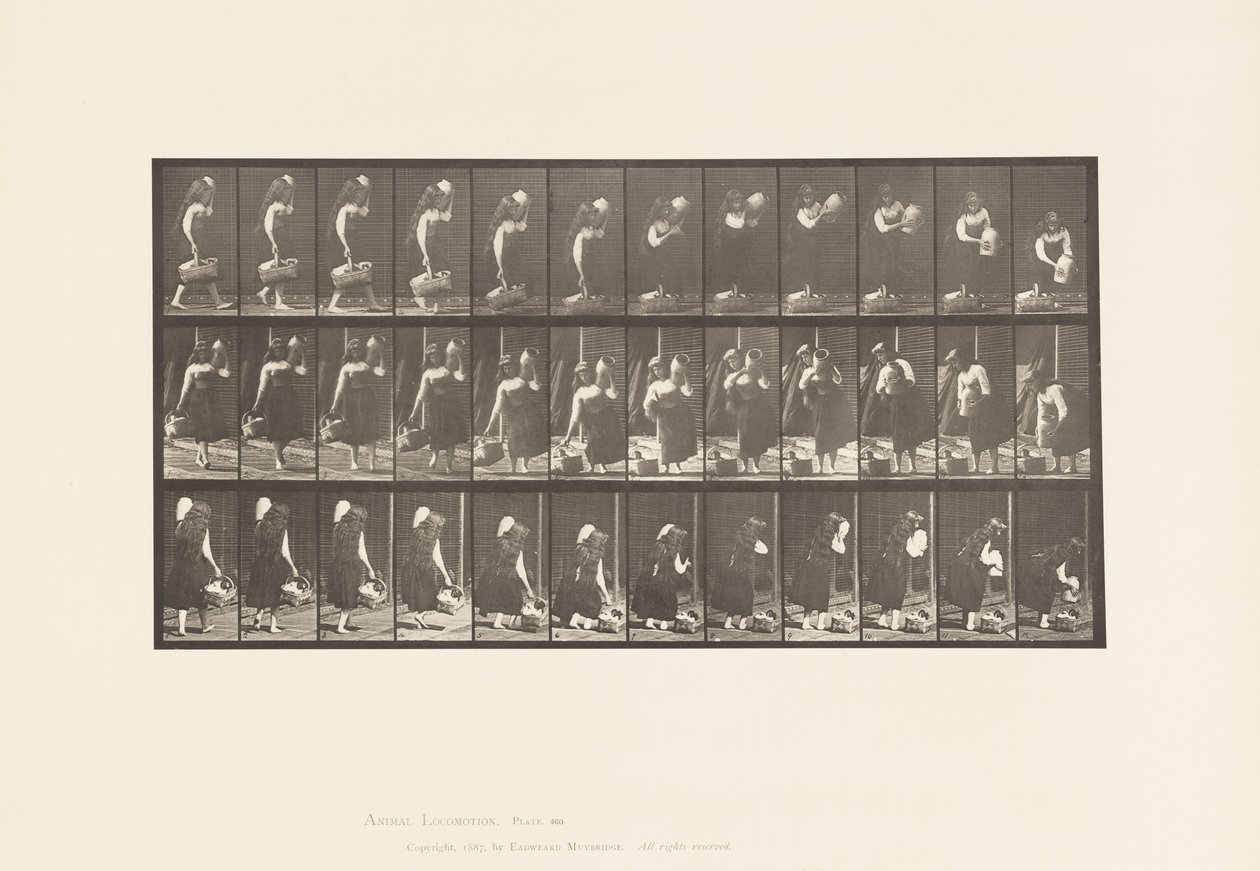 Lauta 460. Kantopurkkia olkapäällä ja koria kädessä, 1885 tekijältä Eadweard Muybridge