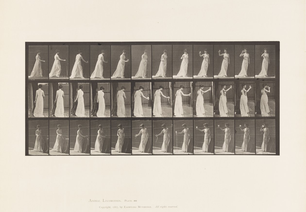 Lauta 462. Libationin kaataminen maahan, juominen pikarista, 1885 tekijältä Eadweard Muybridge