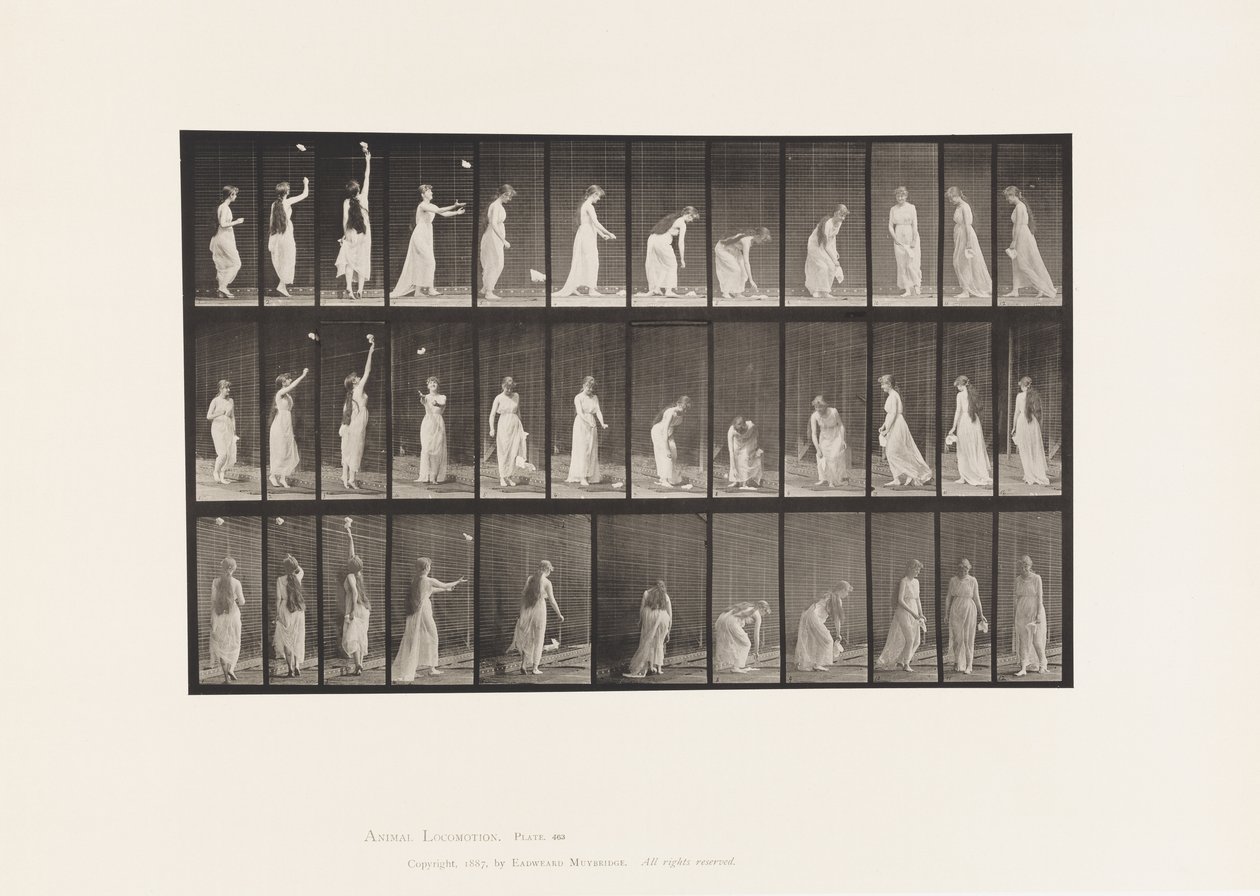 Levy 463. Kurottautuminen, kumartuminen ja kääntyminen, 1885 tekijältä Eadweard Muybridge