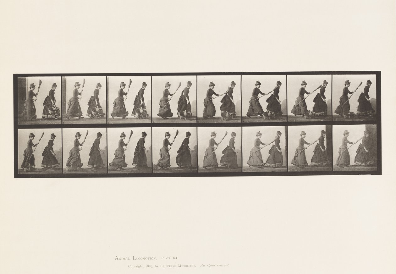Kilpi 464. Kaksi mallia, 16 Chasing 4 luudalla, 1885 tekijältä Eadweard Muybridge