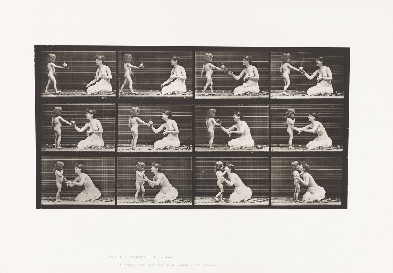 Lauta 465. Kaksi mallia, lapsi 70N, tuo kimppu 12, 1885 tekijältä Eadweard Muybridge