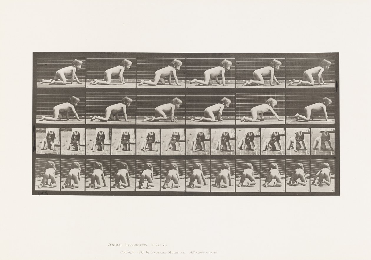 Levy 471. Lapsi, ryömi käsissä ja polvissa, 1885 tekijältä Eadweard Muybridge