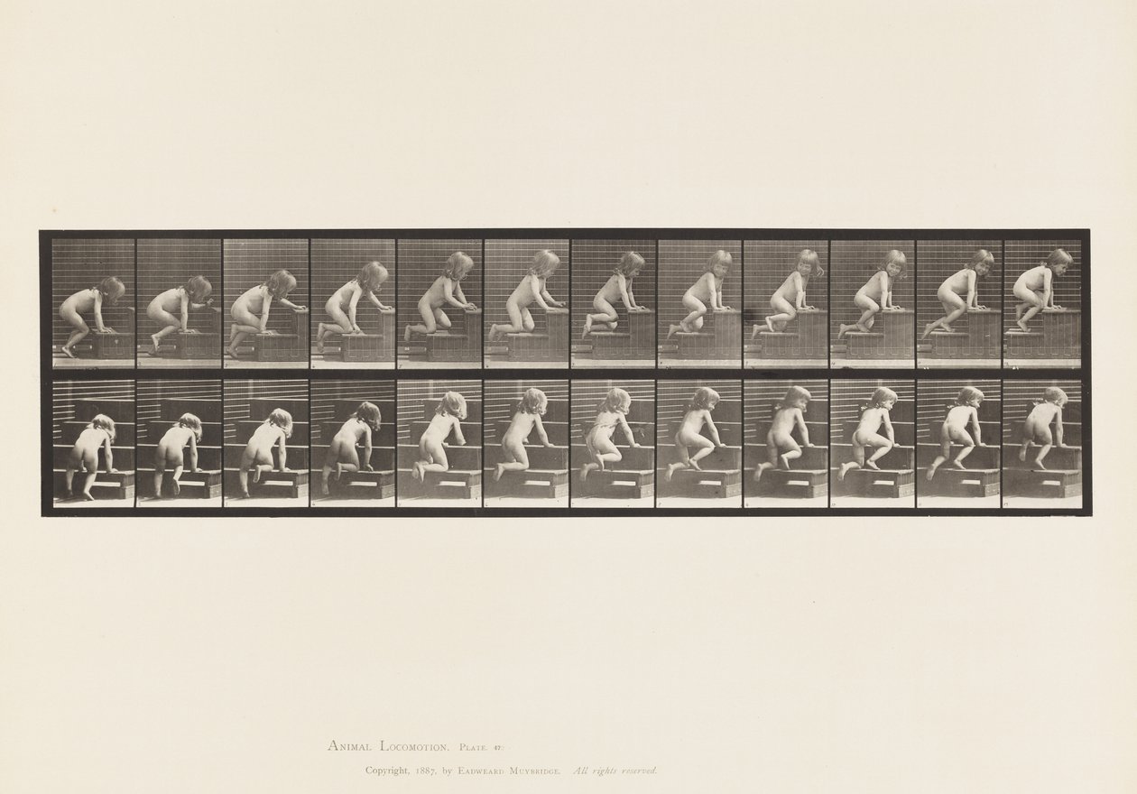Kilpi 472. Lapsi, ryömimässä yläkerrassa, 1885 (kollotyyppi paperille) tekijältä Eadweard Muybridge