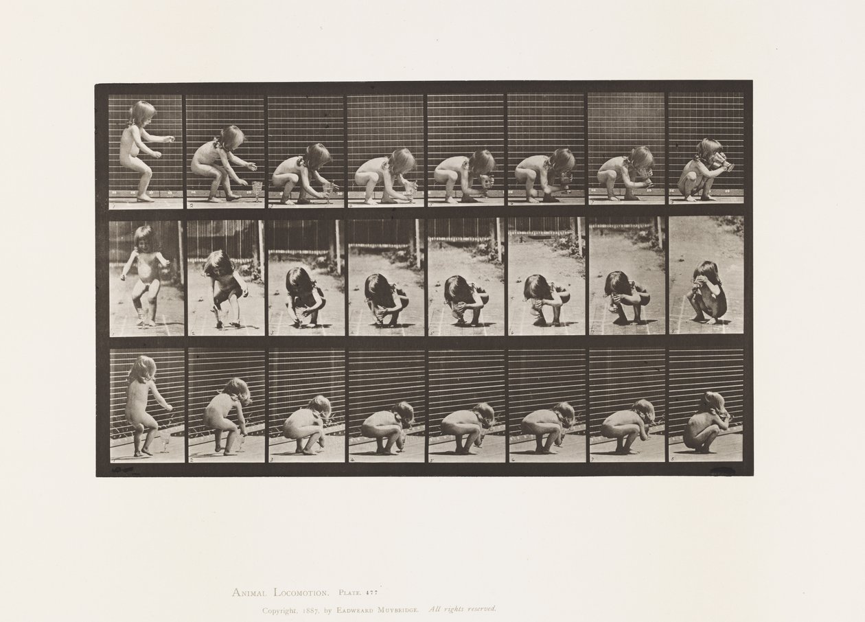 Lauta 477. Lapsi, kumartuminen, pikarin nostaminen ja juominen tekijältä Eadweard Muybridge