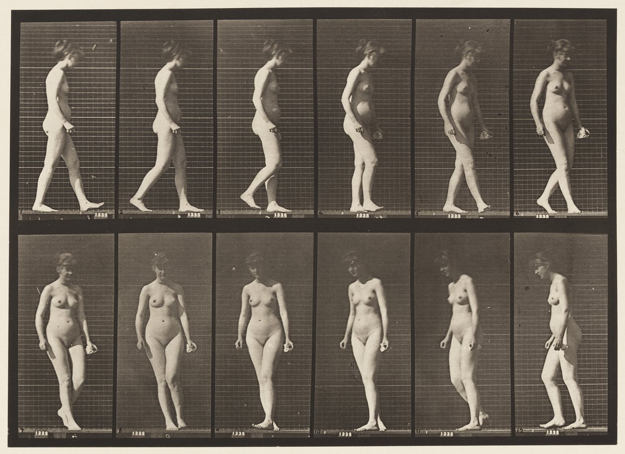 Levy 47. Kävely ja kääntyminen tekijältä Eadweard Muybridge
