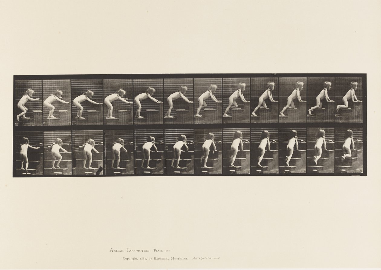 Levy 480. Lapsi, kävelee ja ryömi yläkerrassa tekijältä Eadweard Muybridge