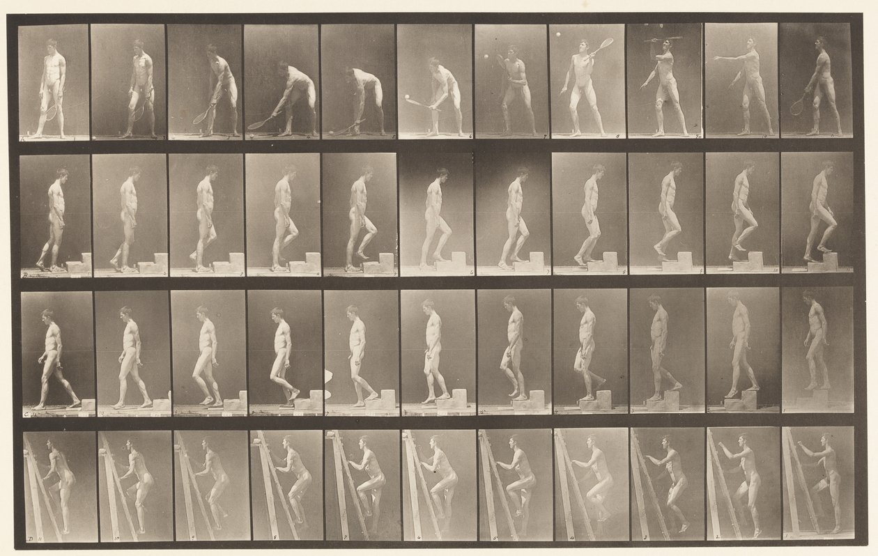 Levy 486. A, Lawn Tennis; B, Ascending a Step;, 1872-1885 tekijältä Eadweard Muybridge