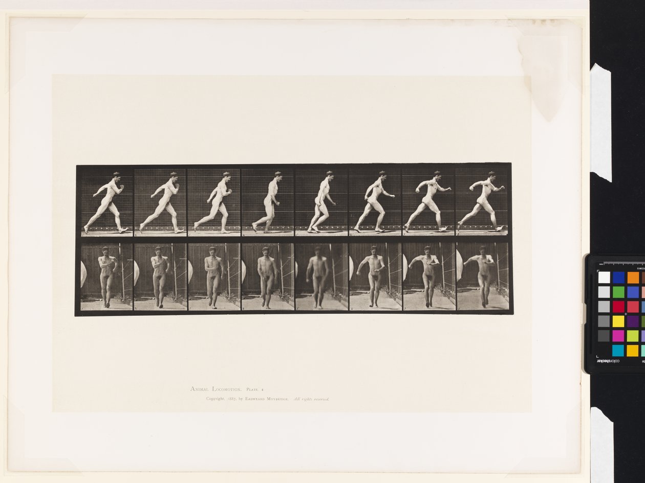 Lauta 4. Kävely tekijältä Eadweard Muybridge