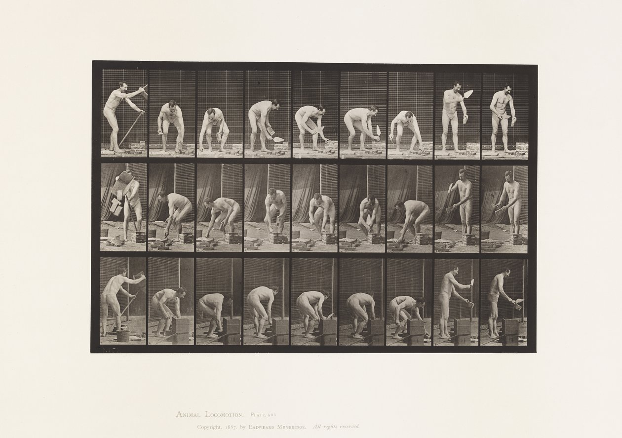 Levy 505. Muuraus tekijältä Eadweard Muybridge