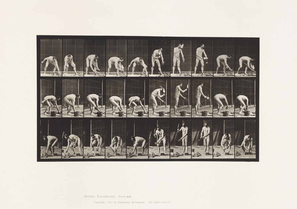 Levy 506. Muuraus tekijältä Eadweard Muybridge