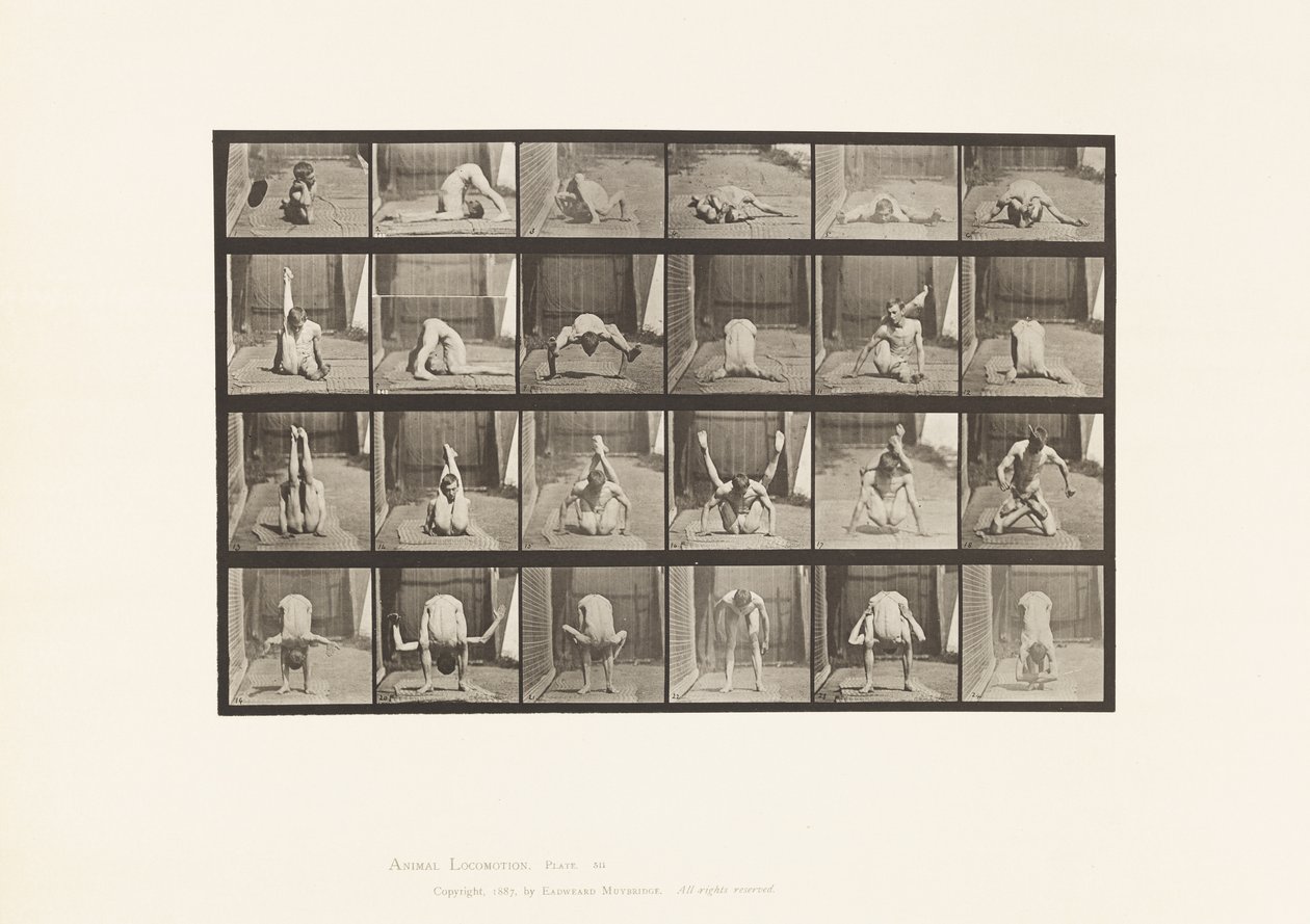 Levy 511. Vääntymät maassa tekijältä Eadweard Muybridge