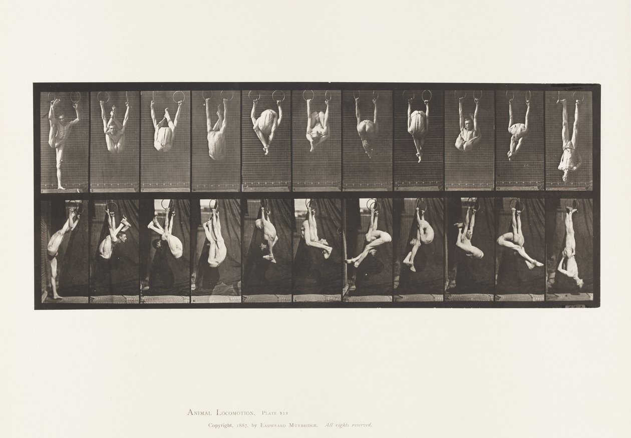 Levy 512. Renkaiden vääntymät tekijältä Eadweard Muybridge