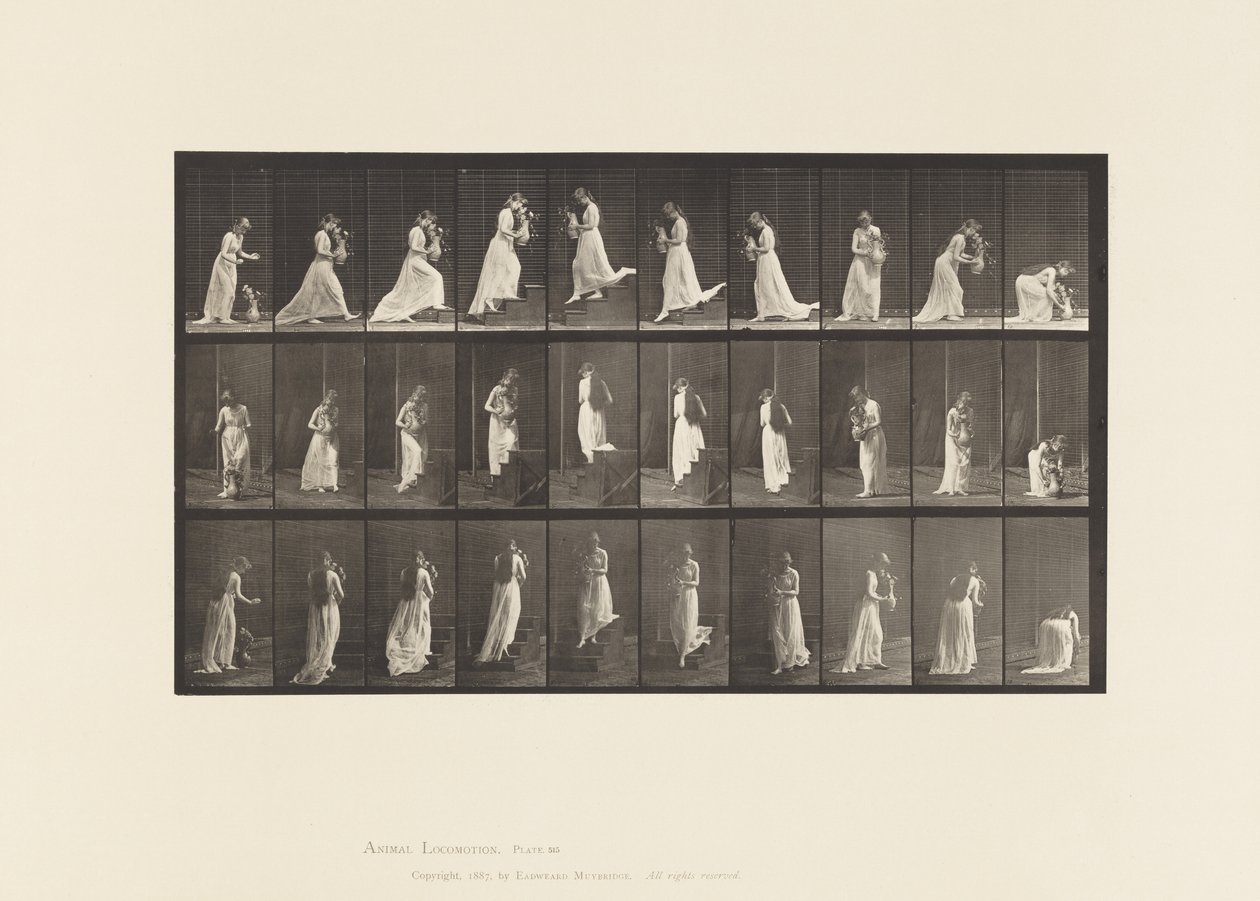 Kilpi 515. Nousevat ja laskevat portaat jne., 1885 tekijältä Eadweard Muybridge