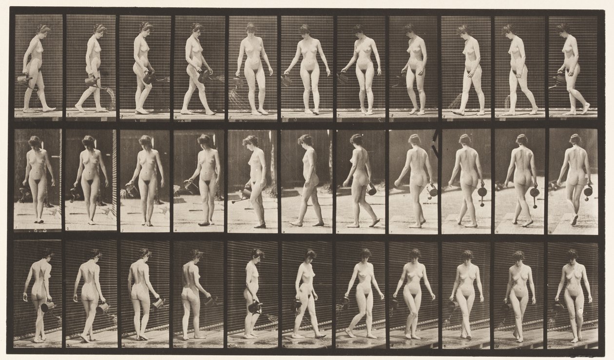 Levy 51. Käveleminen ja kääntyminen sadepotin avulla, 1872-1885 tekijältä Eadweard Muybridge