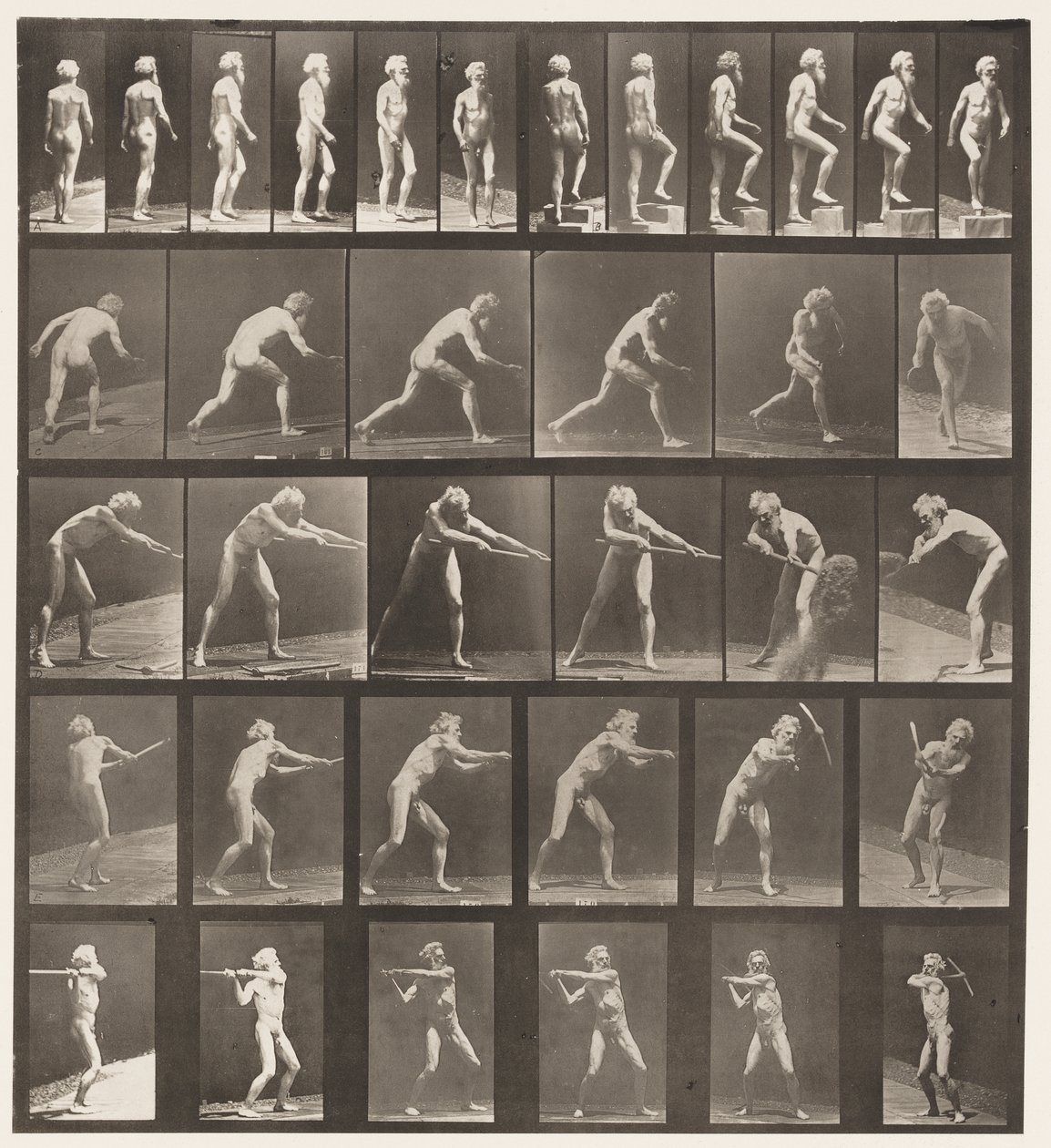 Levy 521. A, Kävely; B, nouseva askel; C, heittolevy tekijältä Eadweard Muybridge