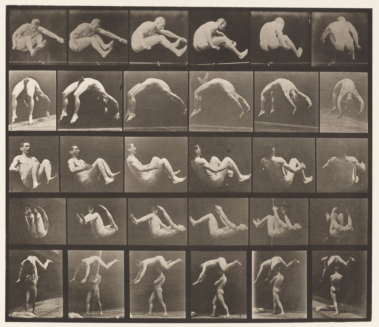 Levy 522. A, 97 Hyppy; B, 98 Handspring; C, 98 salto tekijältä Eadweard Muybridge