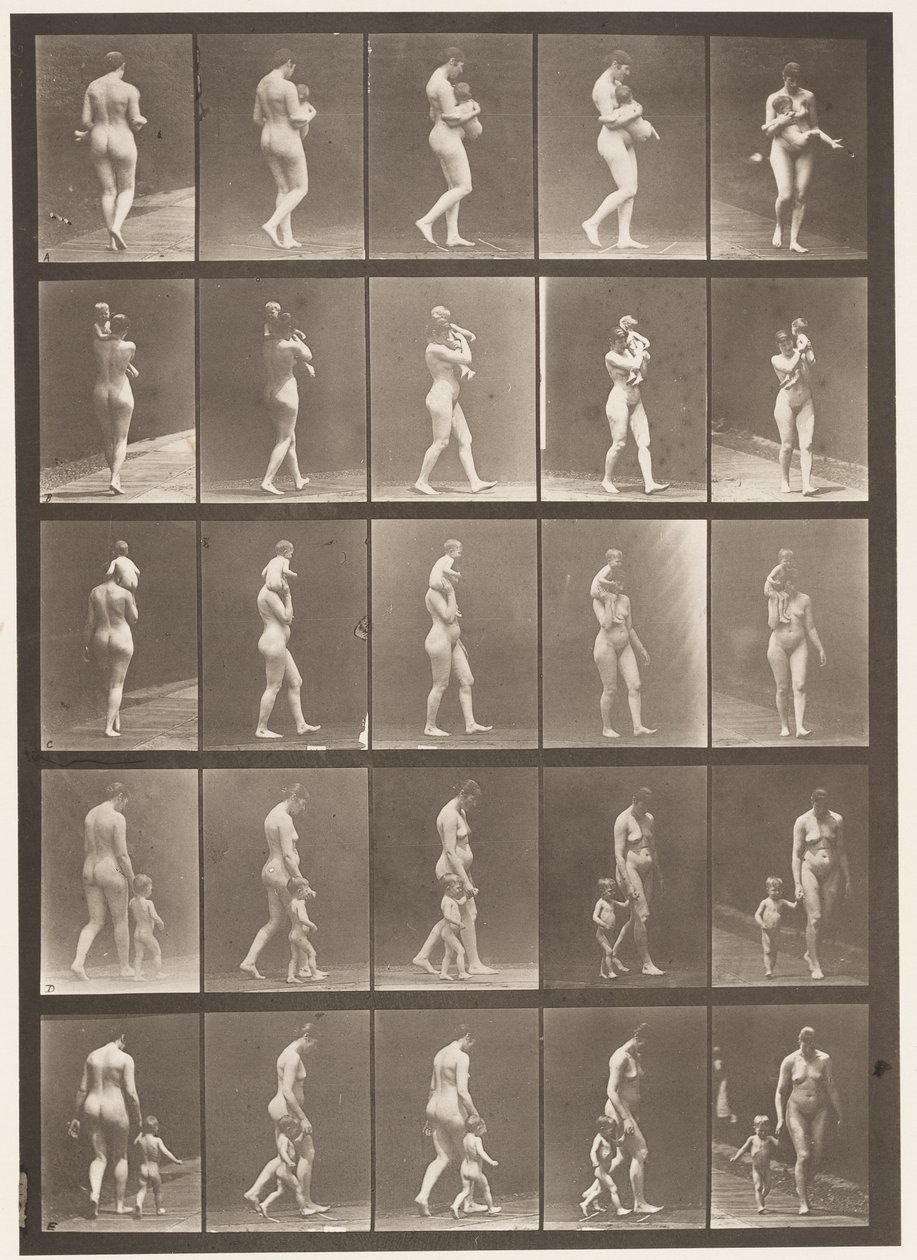 Levy 528. A,B,C tekijältä Eadweard Muybridge