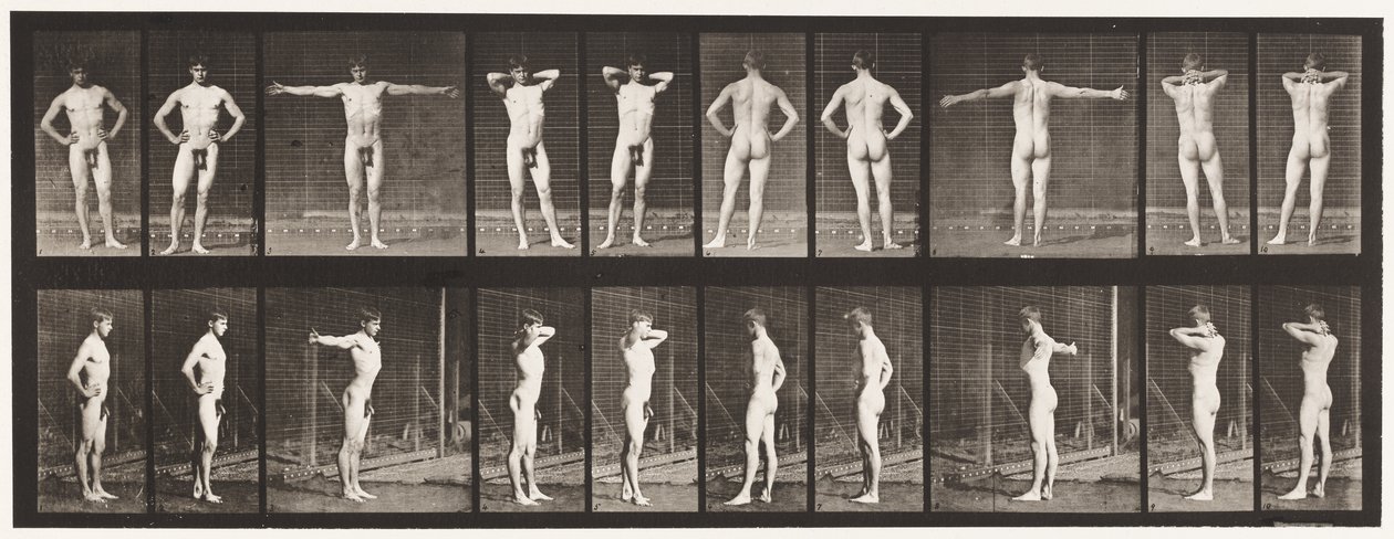 Levy 529. Erilaisia asentoja tekijältä Eadweard Muybridge