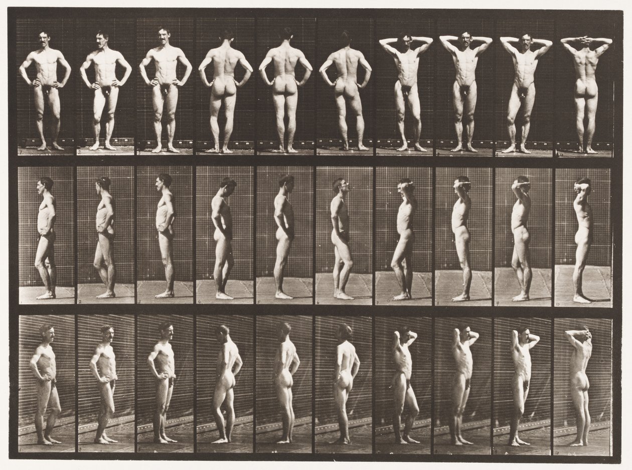 Levy 530. Erilaisia asentoja tekijältä Eadweard Muybridge