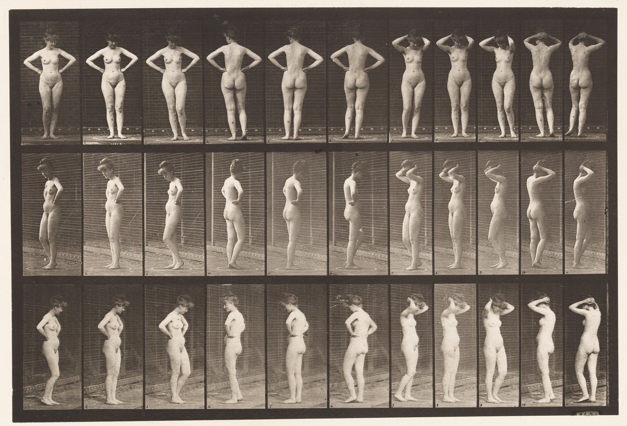 Levy 531. Erilaisia asentoja tekijältä Eadweard Muybridge
