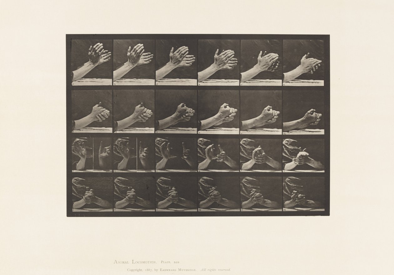 Levy 533. Käden liike; Kädet ristissä, 1885 tekijältä Eadweard Muybridge