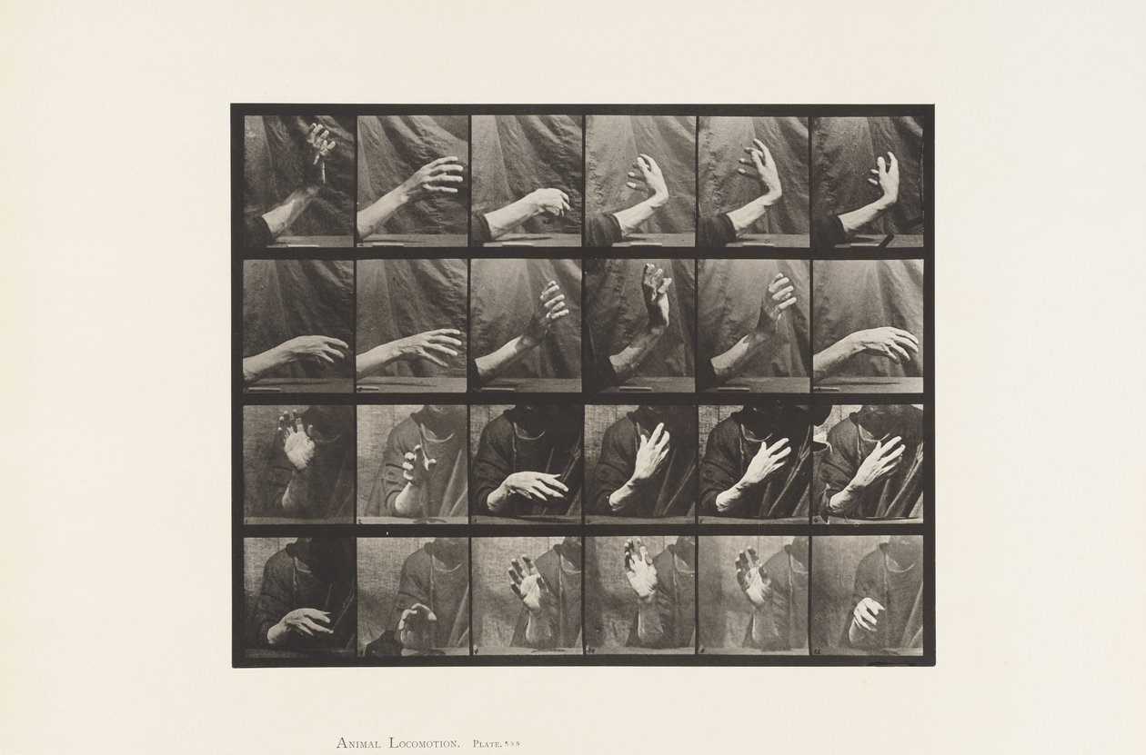Levy 535. Käden liike; Lyöntiaika, 1885 tekijältä Eadweard Muybridge