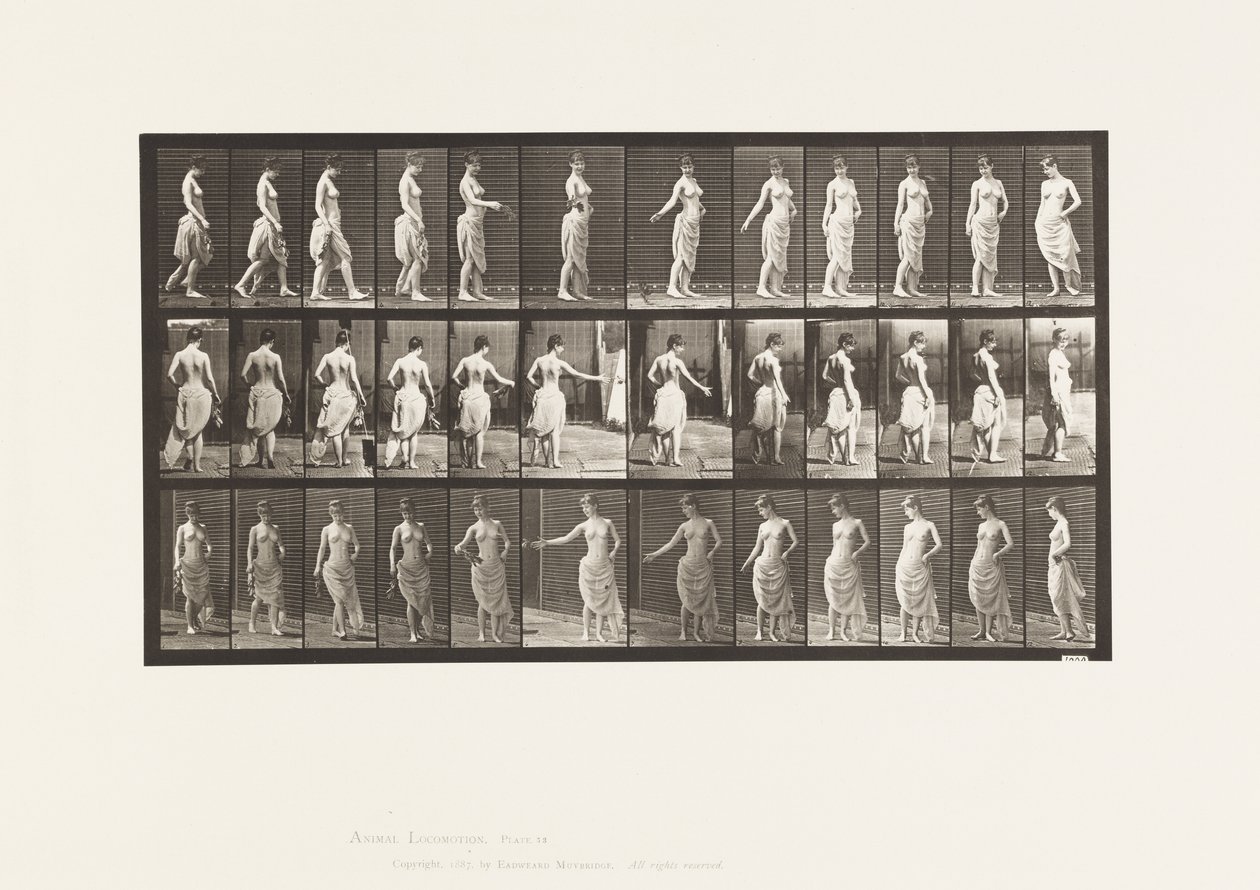 Levy 53. Kävely, kukkien hajottaminen ja kääntyminen tekijältä Eadweard Muybridge