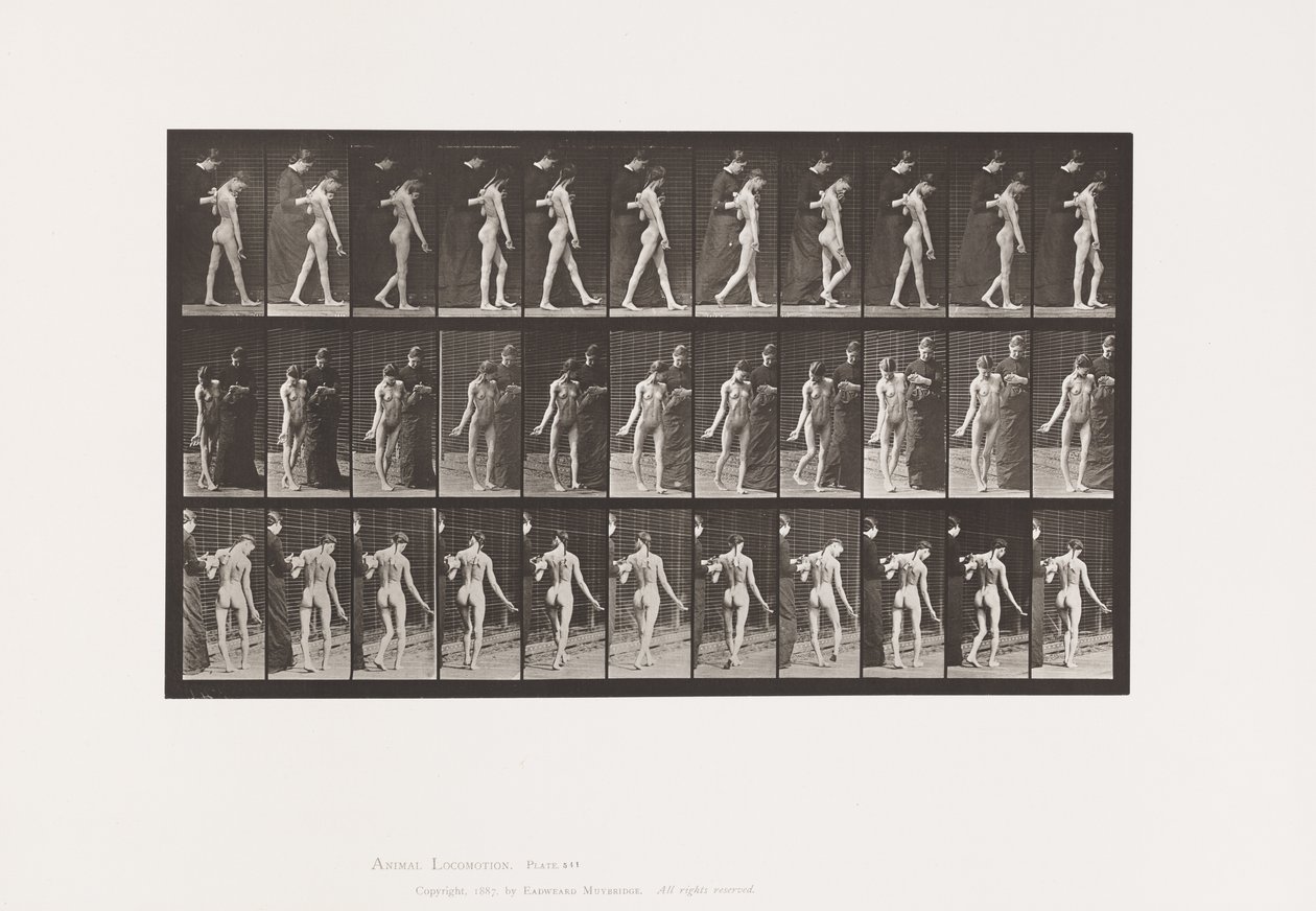 Levy 541. Multippeli aivo-selkäydinskleroosi (Choreic); Kävely tekijältä Eadweard Muybridge