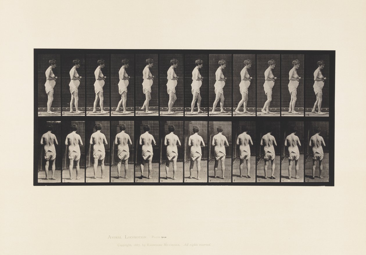 Levy 542. Multippeli aivo-selkäydinskleroosi - kävely tekijältä Eadweard Muybridge