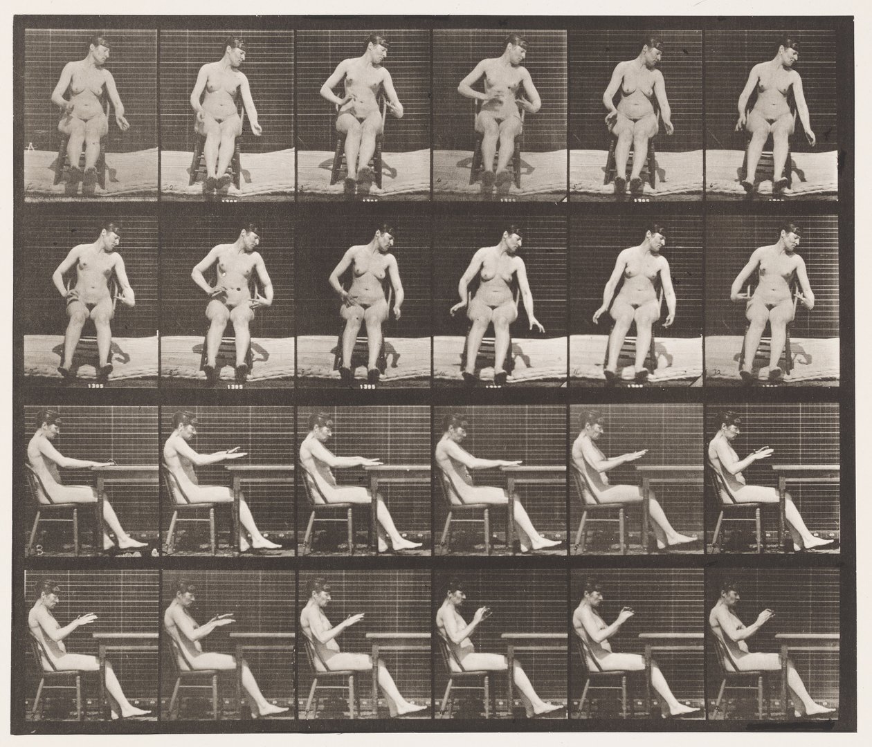 Levy 545. Keinotekoisesti aiheutetut kouristukset; A, B, istuessaan tekijältä Eadweard Muybridge